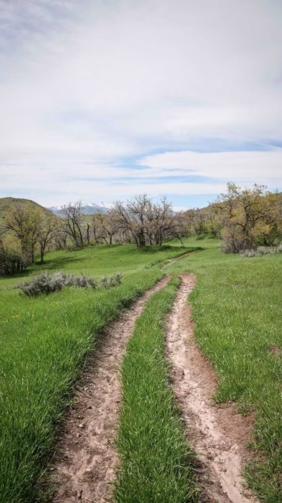 Spanish Fork and UTV Rentals