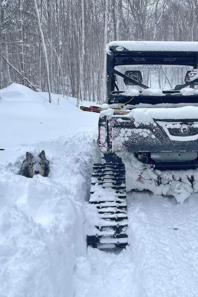 Winter Rallies or Group Rides